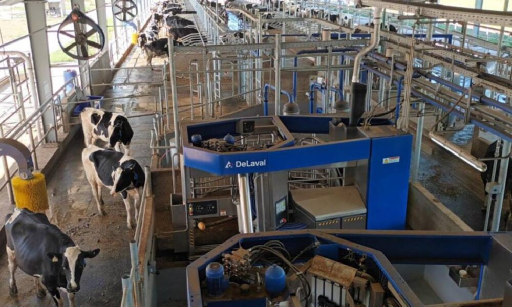 ¿De qué manera la inteligencia artificial está transformando al campo argentino?