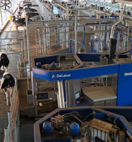 ¿De qué manera la inteligencia artificial está transformando al campo argentino?