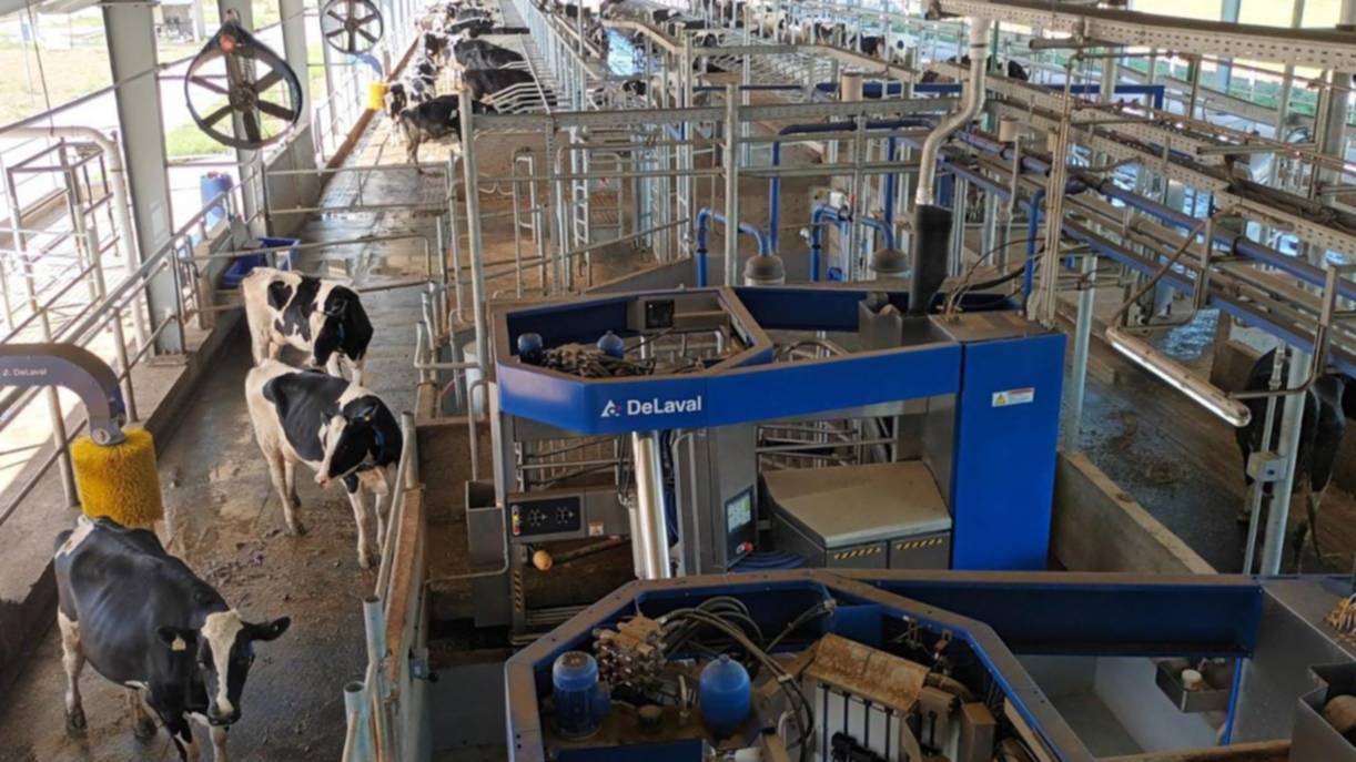 ¿De qué manera la inteligencia artificial está transformando al campo argentino?