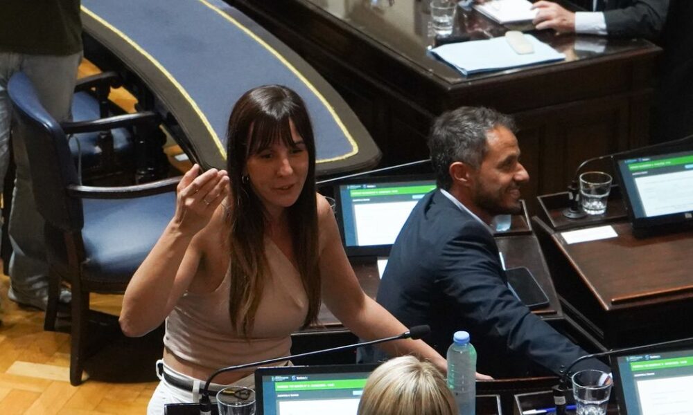 Primera sesión en Diputados bonaerense: la aprendiz, carrera de sortijas y un crossover inesperado