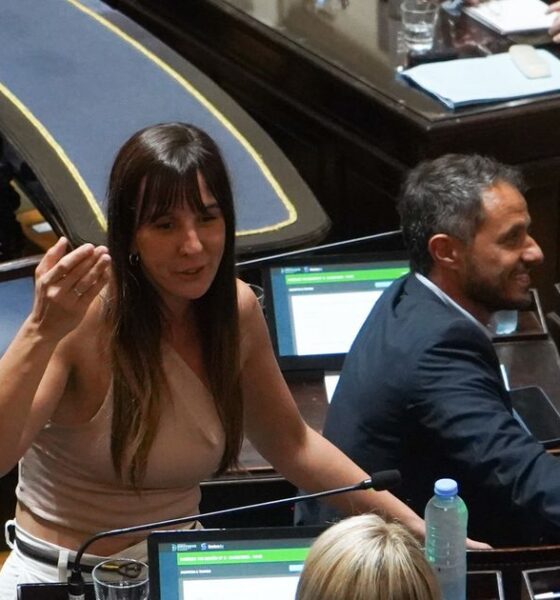 Primera sesión en Diputados bonaerense: la aprendiz, carrera de sortijas y un crossover inesperado