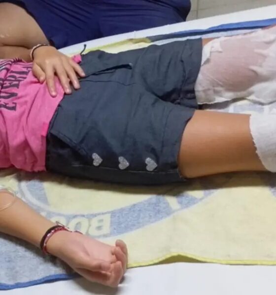 Dos niños de Bahía Blanca encontraron un artefacto en un basural, lo llevaron a su casa y explotó