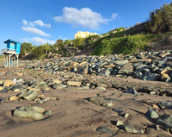 Fuerte sudestada azotó la costa bonaerense: destrozos, rescates y preocupación por la erosión