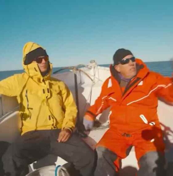 Proyectarán un documental sobre la conservación del pez guitarra, especie en peligro de extinción