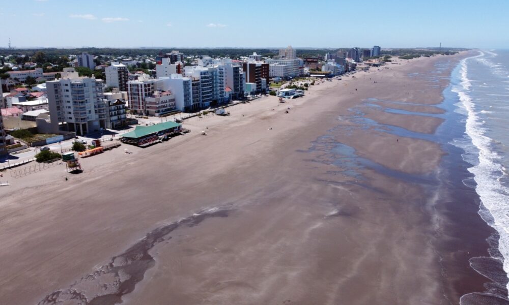 Indignante: Pareja sacó un pingüino del mar para tomarse fotografías en Monte Hermoso