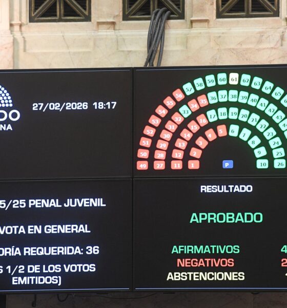 Baja de la edad de punibilidad: "Falta muchísimo, pero es un gran avance de Argentina", opinó concejal