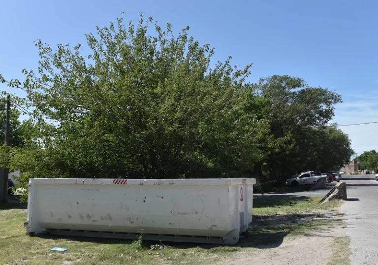 Durante el fin de semana largo habrá bateas para residuos voluminosos en cuatro puntos