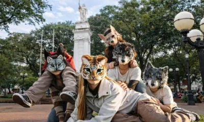 Insólito: un municipio bonaerense salió a desmentir que organiza un encuentro "therians" tras difusión de falso afiche