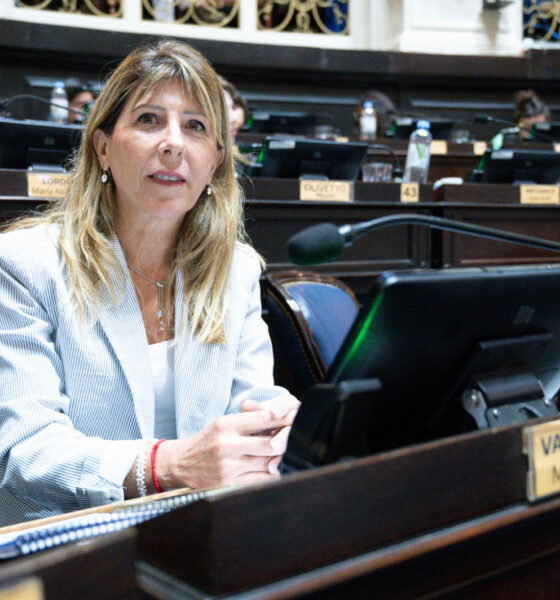 Vaccarezza vuelve a pedir por la ley de fitosanitarios