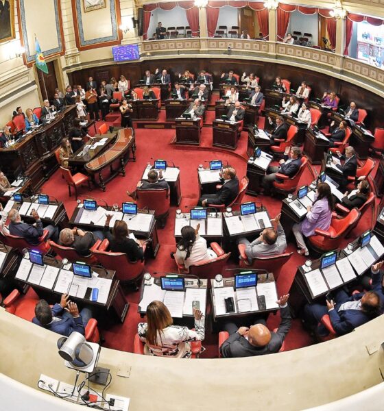 Senado: solo 9 legisladores presentaron un proyecto en enero