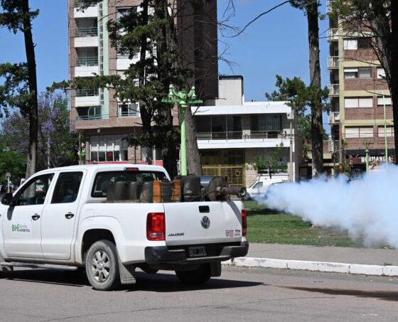 Tareas de fumigación en el distrito