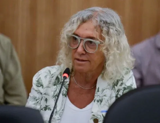 Reforma laboral: la diputada Frade recalcó que “no es el camino” para generar empleo