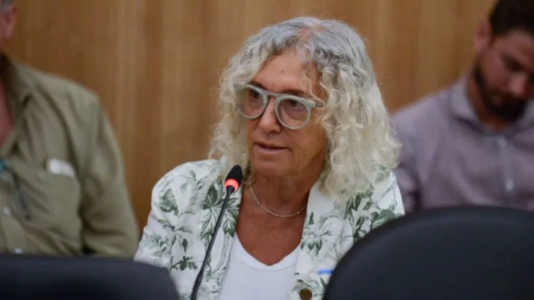 Reforma laboral: la diputada Frade recalcó que “no es el camino” para generar empleo