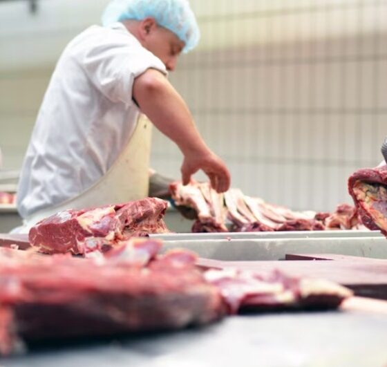 Aumentó el consumo de carnes en 2025, según la Secretaría de Agricultura de la Nación