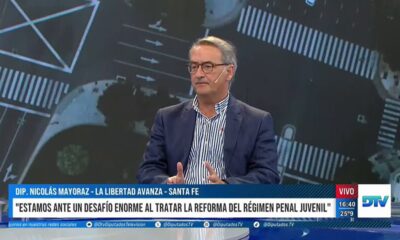Baja de la edad de punibilidad: "El régimen es muy bueno", dijo diputado de LLA