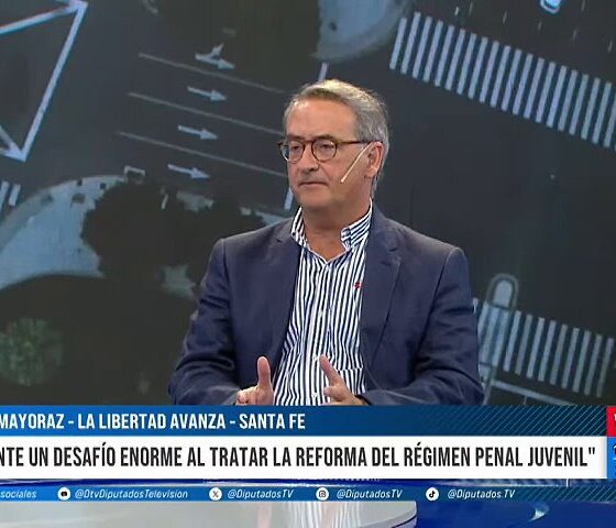 Baja de la edad de punibilidad: "El régimen es muy bueno", dijo diputado de LLA