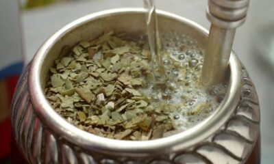 Mercado yerbatero: una crisis que se extiende más allá del impacto de la desregulación