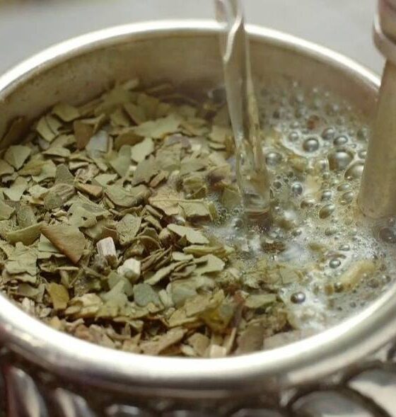 Mercado yerbatero: una crisis que se extiende más allá del impacto de la desregulación