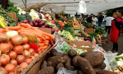 La Feria Municipal Distrital llega a Sierra de la Ventana