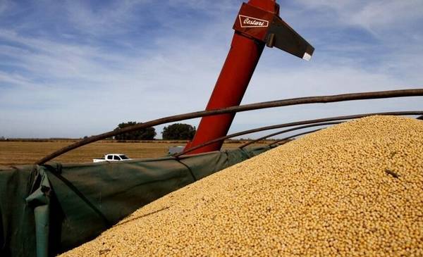 "MUCHÍSIMA VOLATILIDAD": agroindustriales ALERTAN por las CONSECUENCIAS de la GUERRA