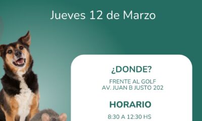 Campaña de vacunación antirrábica frente al Golf: una cita clave para la salud animal