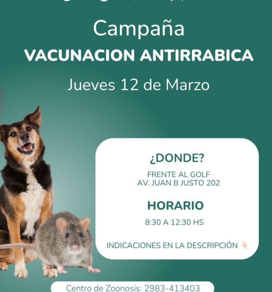 Campaña de vacunación antirrábica frente al Golf: una cita clave para la salud animal