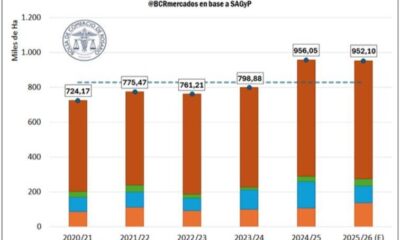 Legumbres: el otro lado del récord hacia una campaña histórica