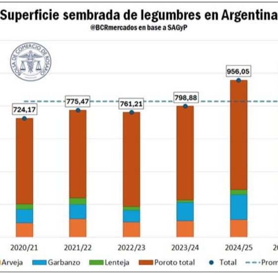 Legumbres: el otro lado del récord hacia una campaña histórica
