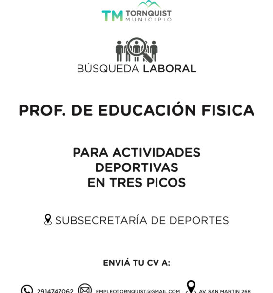 Búsqueda laboral: Profesor/a de Educación Física