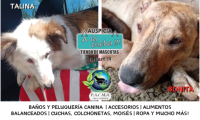 No compres un amigo, rescata una historia