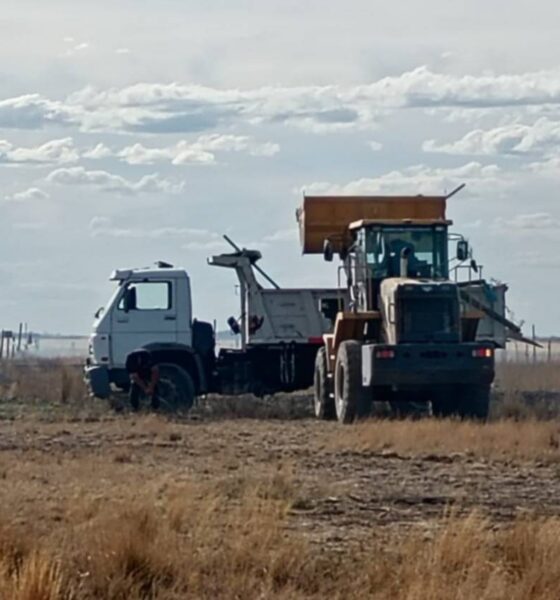 Carmen de Patagones: la Justicia ordenó restituir al Municipio terrenos que habían sido tomados