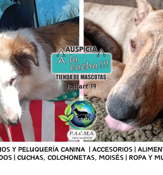 No compres un amigo, rescata una historia