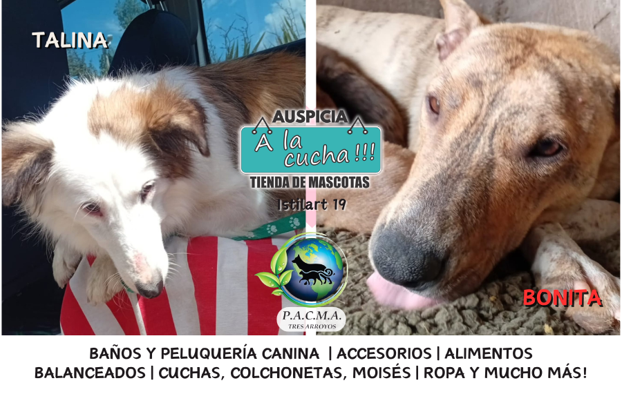 No compres un amigo, rescata una historia