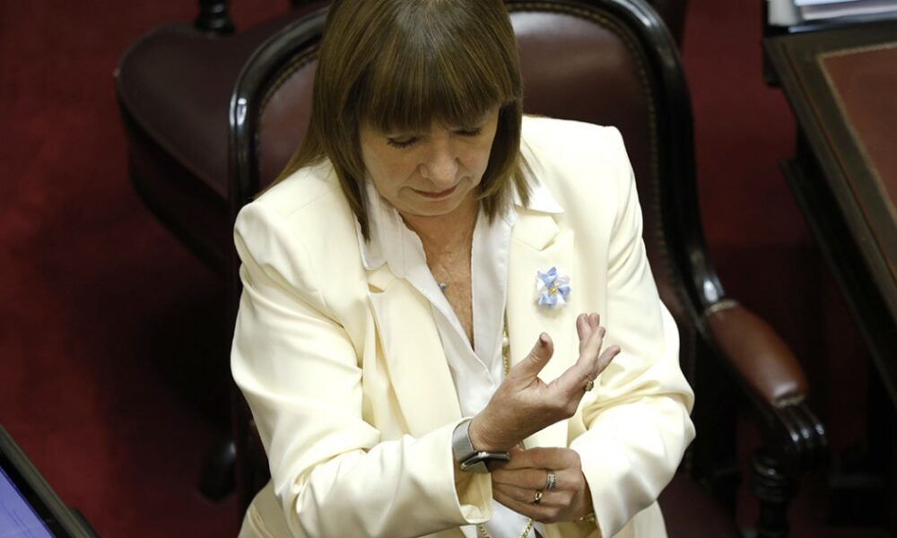 Patricia Bullrich pone a Lázaro Báez como ejemplo para que la gente suelte los dólares