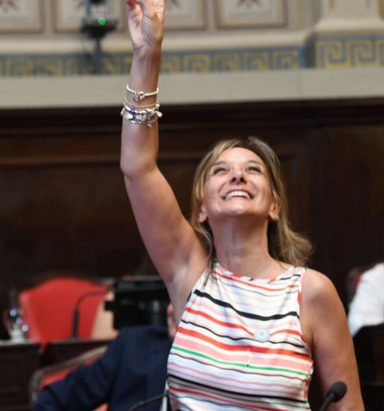 Pistolas Taser y presos sin celulares, la agenda propia del massismo en la Legislatura bonaerense