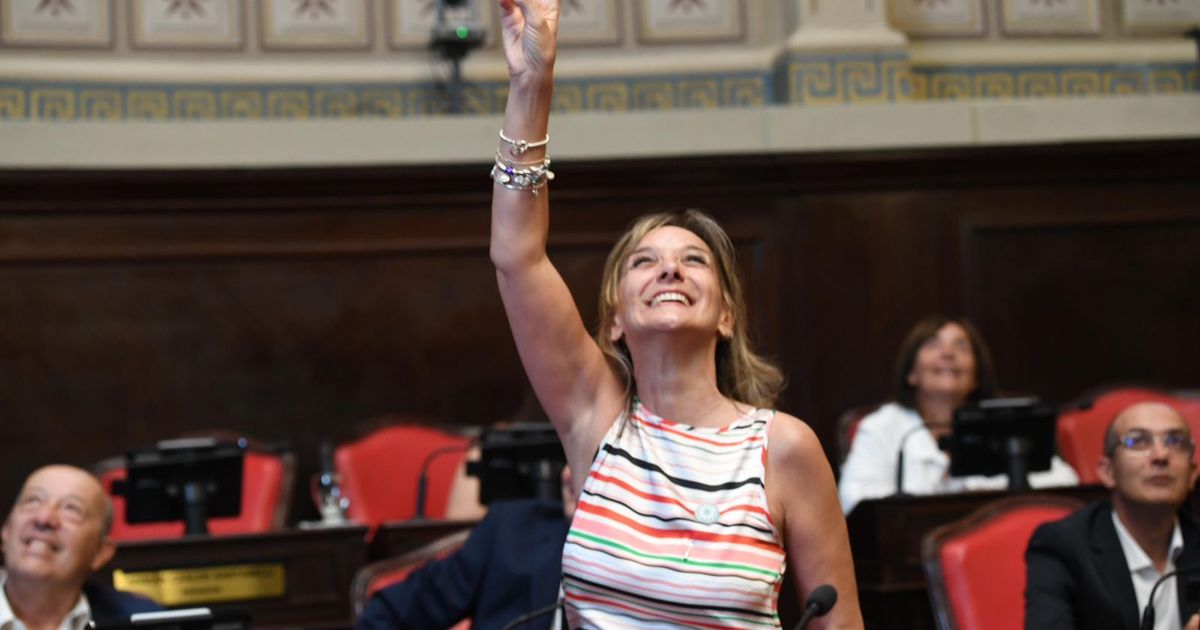 Pistolas Taser y presos sin celulares, la agenda propia del massismo en la Legislatura bonaerense