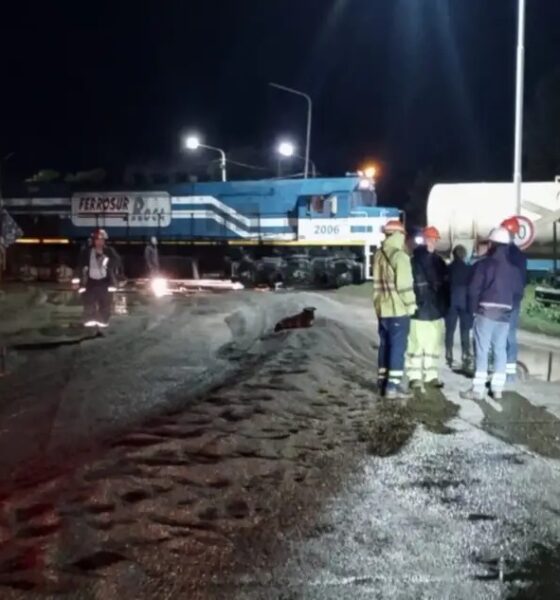 Chocó un tren de carga y un camión en Bahía Blanca