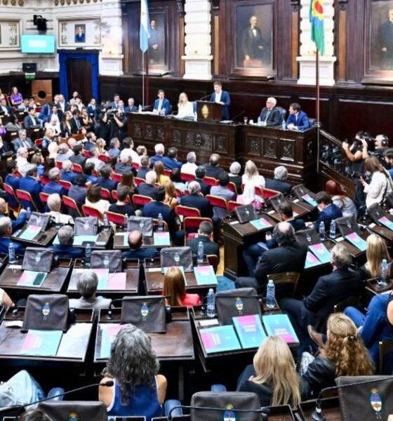 Civilización o barbarie: el contraste de la Legislatura bonaerense y el Congreso en la Asamblea Legislativa