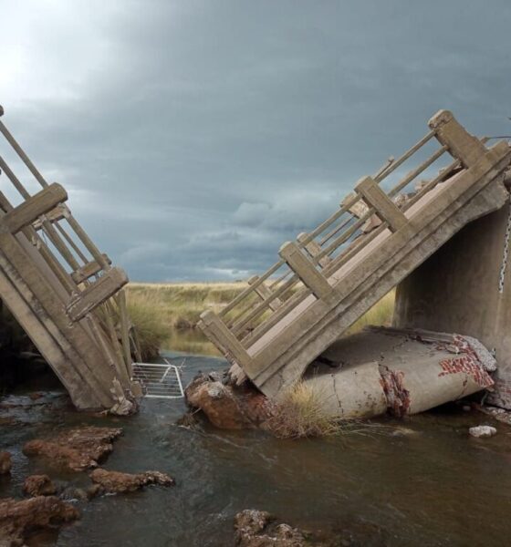 Colapsó el puente que une las localidades de Carhué y Arroyo Venado, en Guaminí