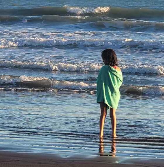 El sonido del mar y el sistema nervioso: ¿por qué el oleaje nos calma?