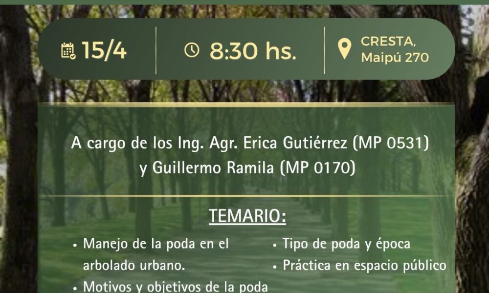 Tres Arroyos se capacita: lanzan una jornada intensiva sobre poda de arbolado urbano