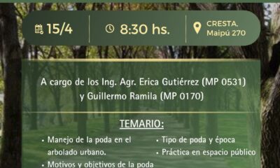 Tres Arroyos se capacita: lanzan una jornada intensiva sobre poda de arbolado urbano