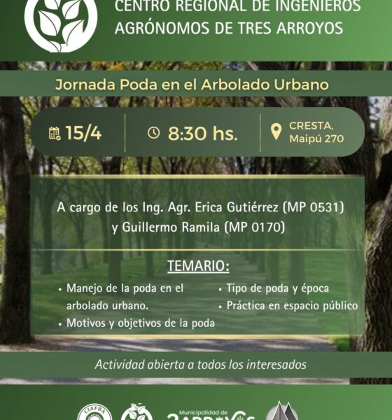 Tres Arroyos se capacita: lanzan una jornada intensiva sobre poda de arbolado urbano