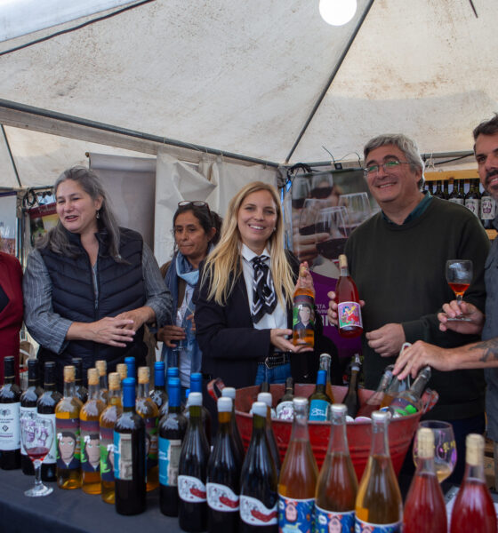 Productores y bodegas, protagonistas en la apertura de la 11° Fiesta Provincial de la Vendimia en Saldungaray