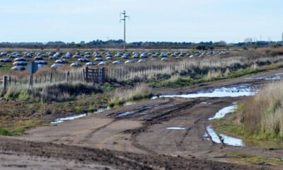 Implementarán un plan provincial para mantenimiento y mejora de caminos rurales