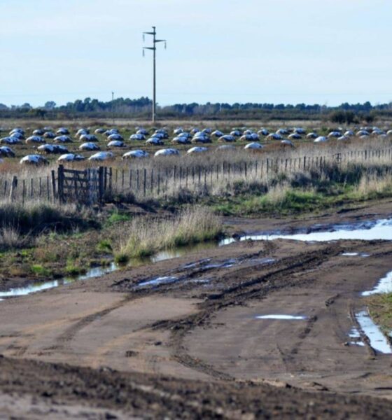 Implementarán un plan provincial para mantenimiento y mejora de caminos rurales