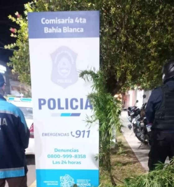 Allanaron la casa de un alumno por amenazas de tiroteo en escuela de Bahía Blanca y secuestraron 7 plantas de marihuana