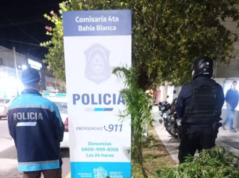 Allanaron la casa de un alumno por amenazas de tiroteo en escuela de Bahía Blanca y secuestraron 7 plantas de marihuana