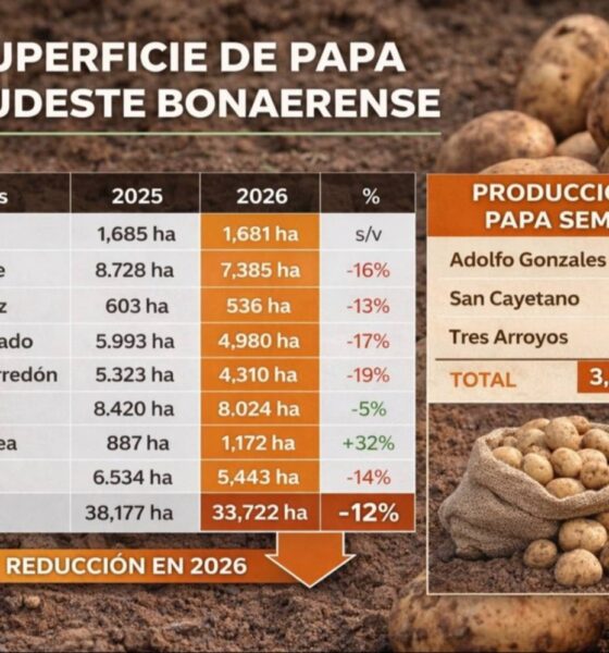 Papa: el sudeste bonaerense avanza hacia la lógica de producir menos para ganar más