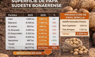 Papa: el sudeste bonaerense avanza hacia la lógica de producir menos para ganar más